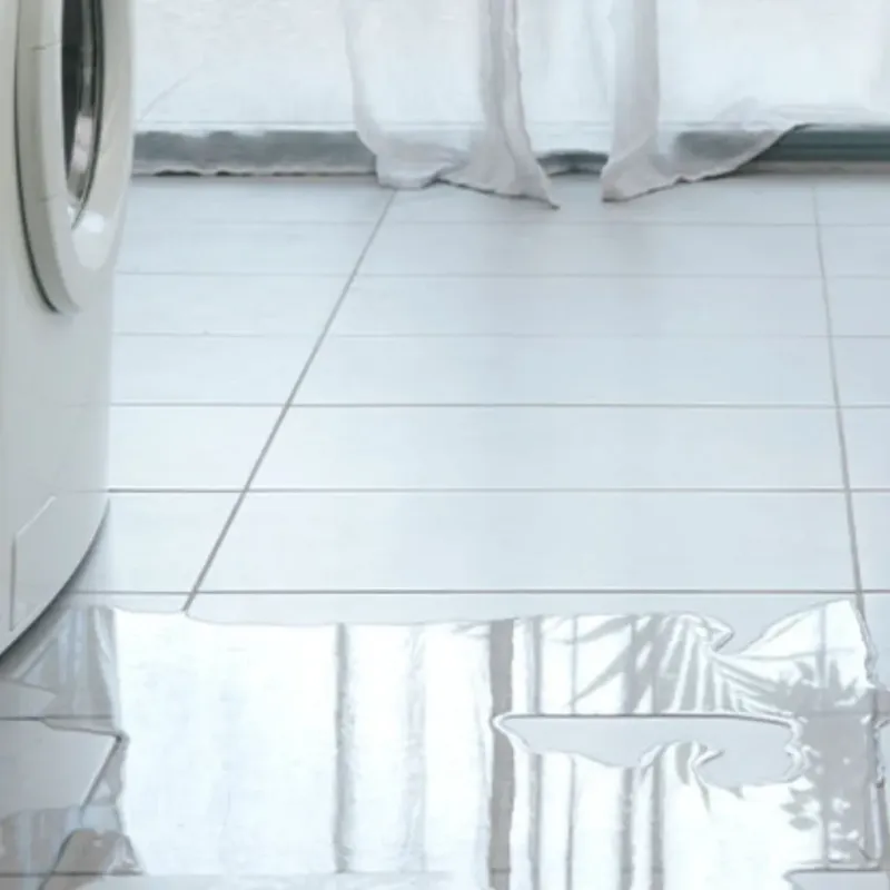Appliance Leak Cleanup in Lewisville, AR