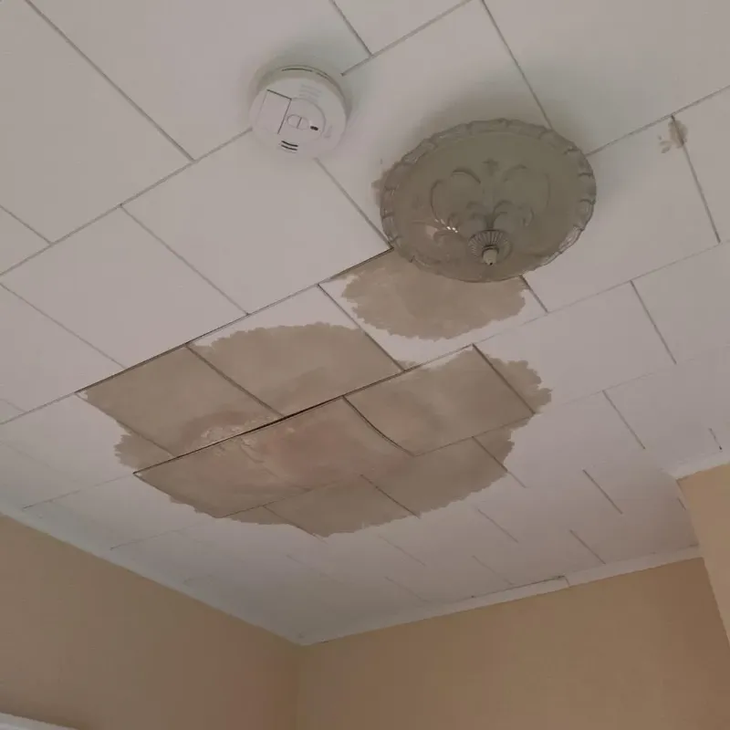 Ceiling Water Damage Repair in Lewisville, AR
