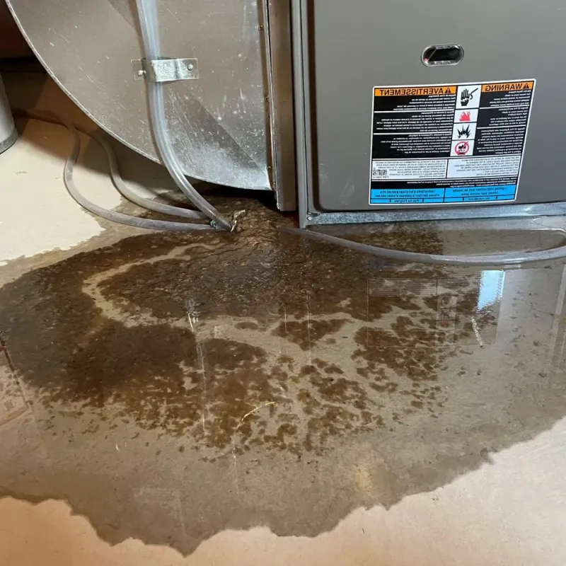 Pipe Burst and Leak Restoration in Lewisville, AR